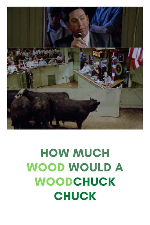 How Much Wood Would a Woodchuck Chuck: Beobachtungen zu einer neuen Sprache (1976) poster
