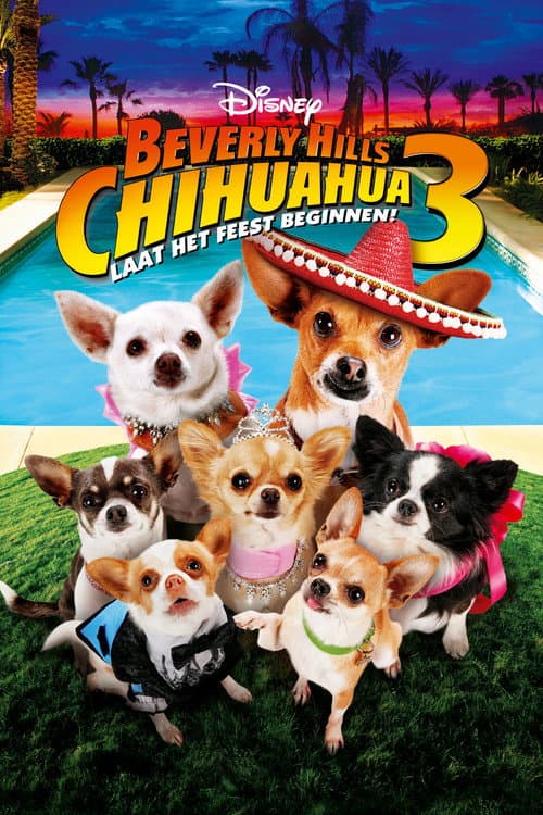 Beverly Hills Chihuahua 3: Laat Het Feest Beginnen! (2012) poster