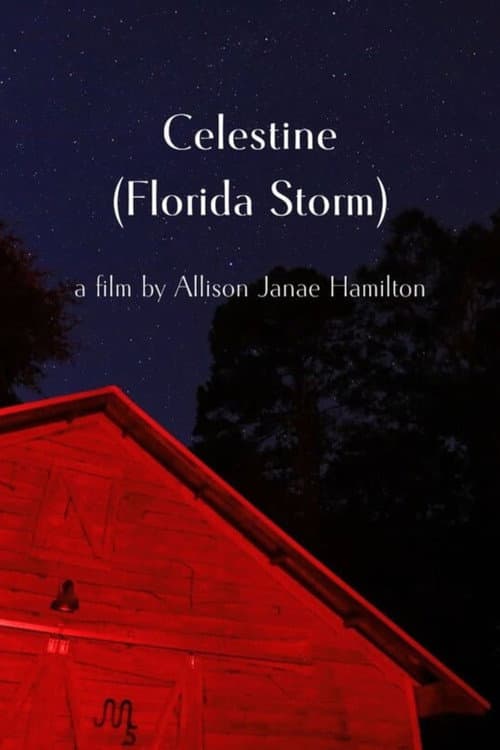 Celestine (Florida Storm) (2025) poster