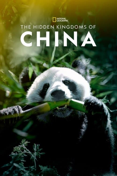 The Hidden Kingdoms of China (2020) poster