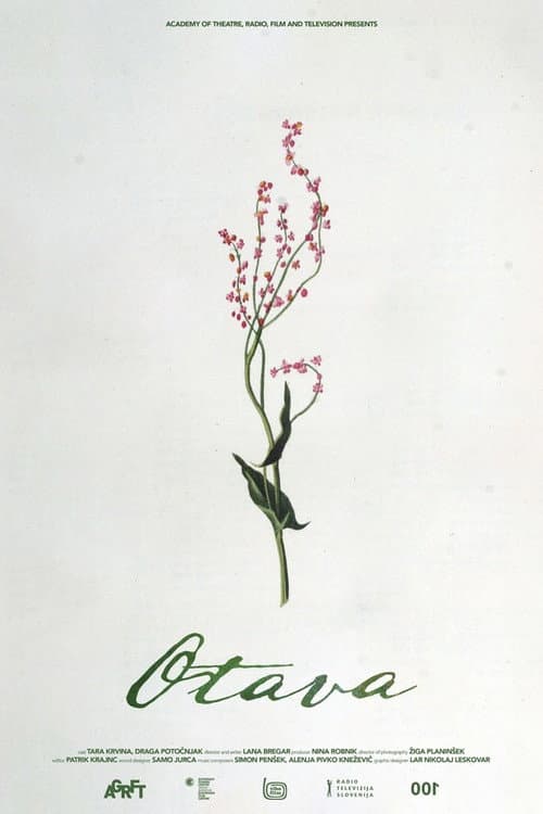 Otava (2021) poster