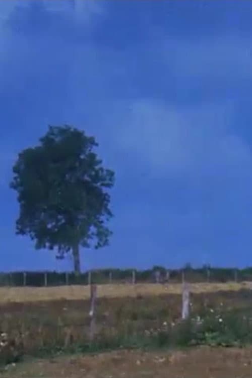 Dehors (1985) poster