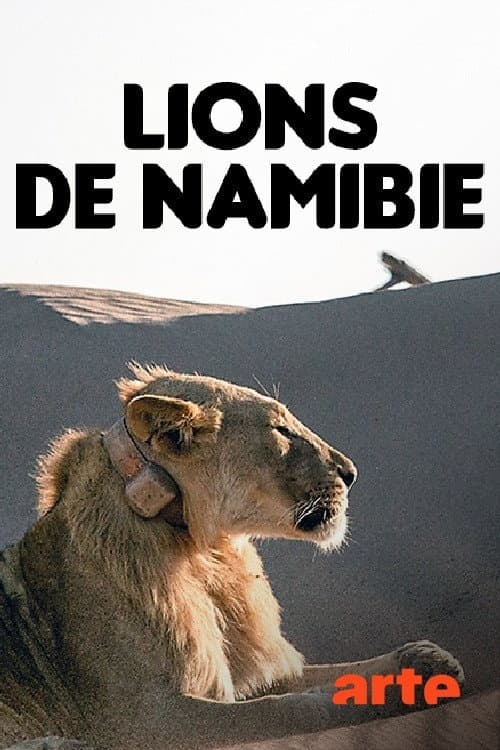 Die Wüstenlöwen der Namib - Aufbruch und Wiederkehr (2017) poster