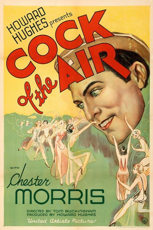 Cock of the Air (1932) poster