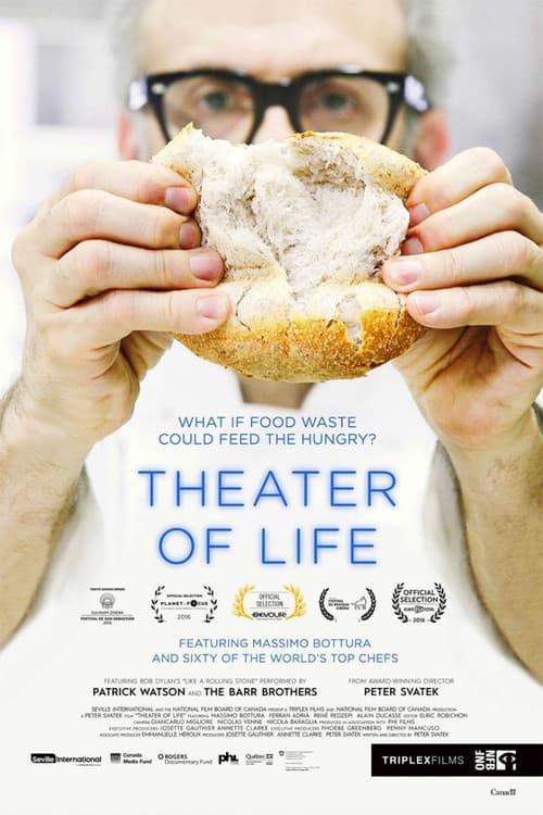 Theatre of Life (2016) poster