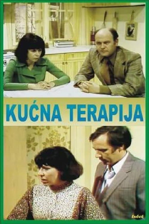Kućna terapija (1977) poster