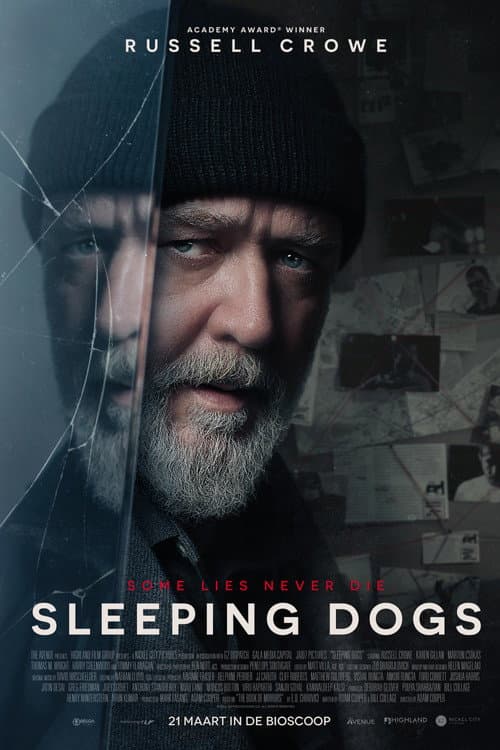 Sleeping Dogs (2024) poster