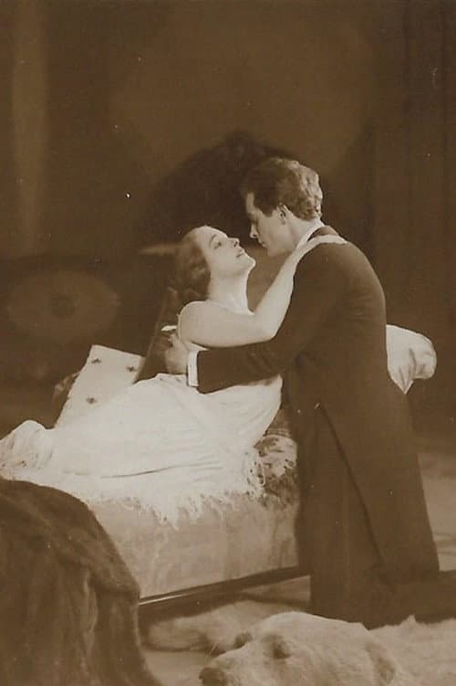 Gräfin Donelli (1924) poster