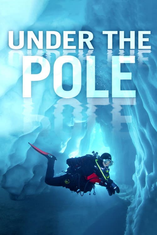 On a marché sous le Pôle (2011) poster