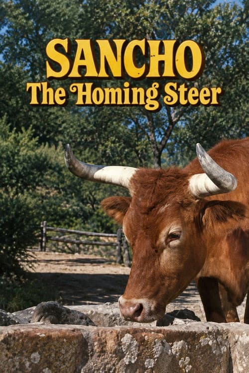 Sancho, the Homing Steer (1962) poster