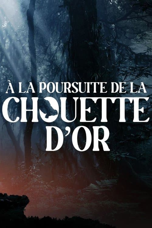 À la poursuite de la chouette d'or (2024) poster