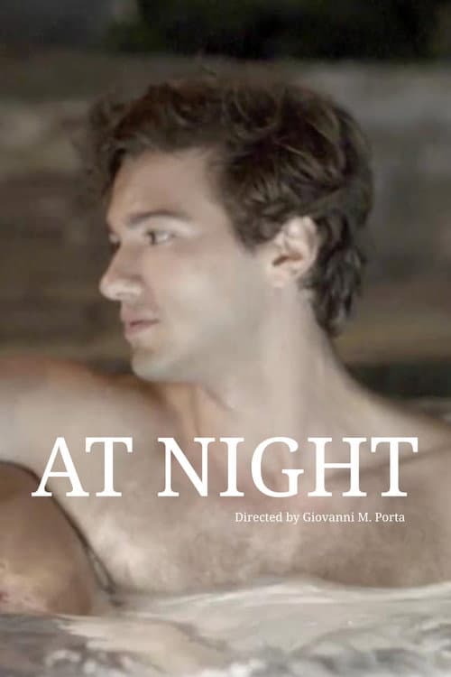 At Night (2017) poster