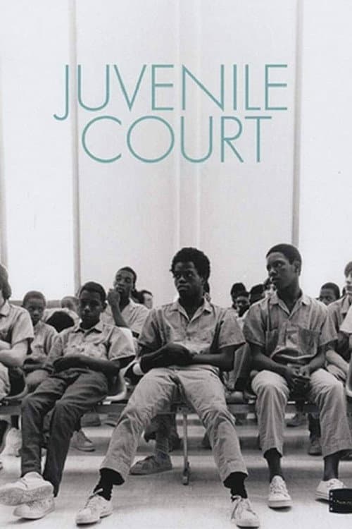 Juvenile Court (1973) poster