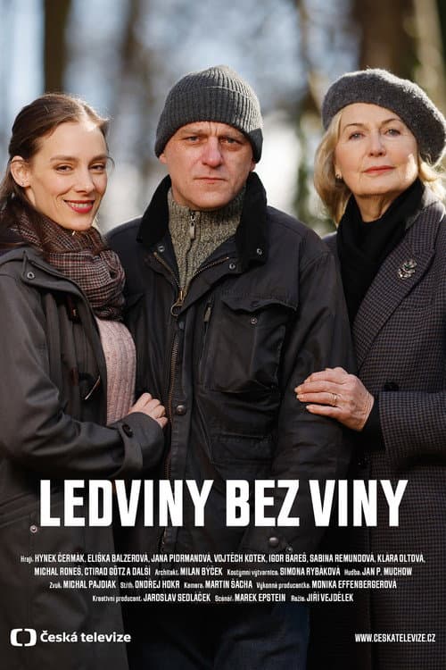 Ledviny bez viny (2022) poster