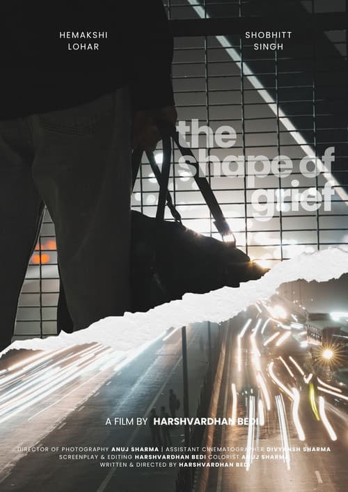 The Shape Of Grief (2026) poster