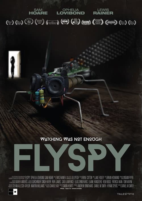 Flyspy (2016) poster