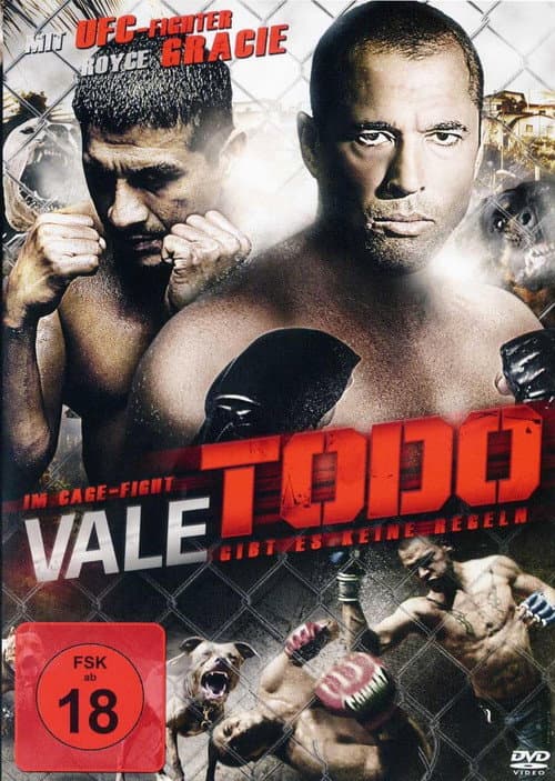 Vale todo: Anything goes (2010) poster