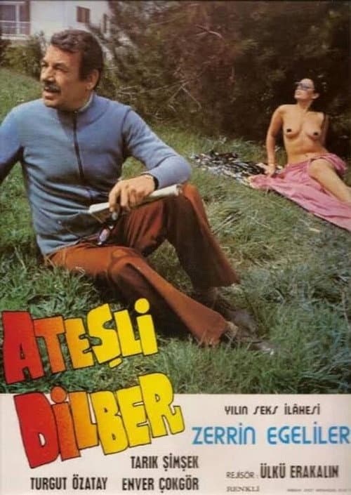 Ateşli Dilber (1979) poster