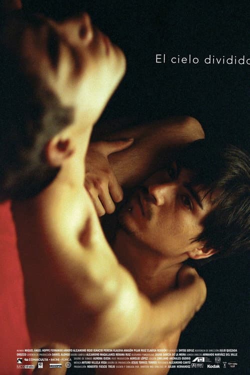 El cielo dividido (2006) poster