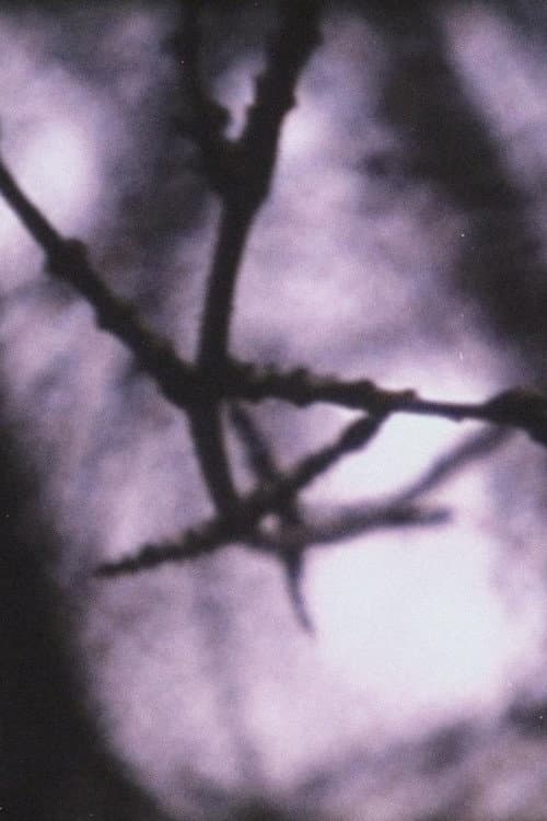 Put It on the Ground (2004) poster