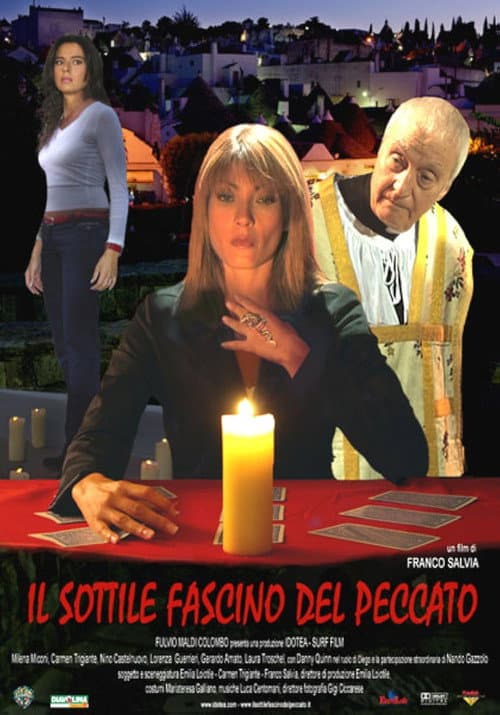 Il sottile fascino del peccato (2010) poster