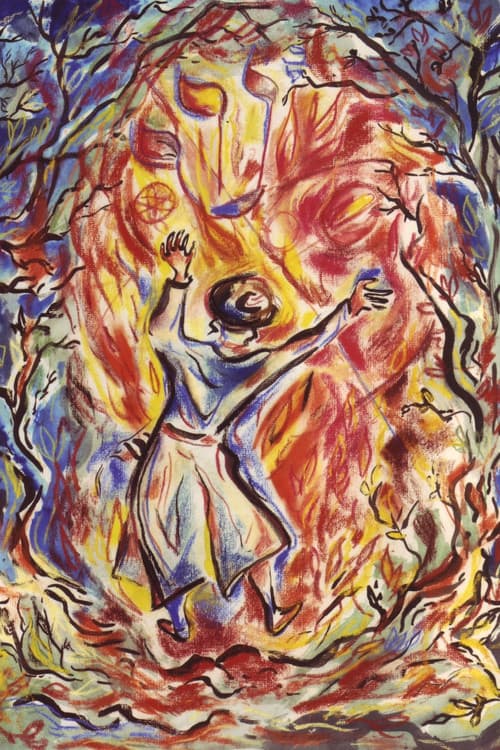 A Fire in the Forest: The Life and Legacy of the Ba'al Shem Tov (2012) poster