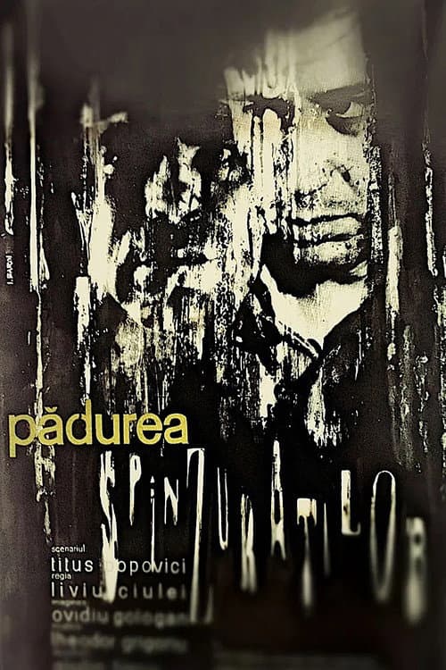 Pădurea spânzuraţilor (1965) poster