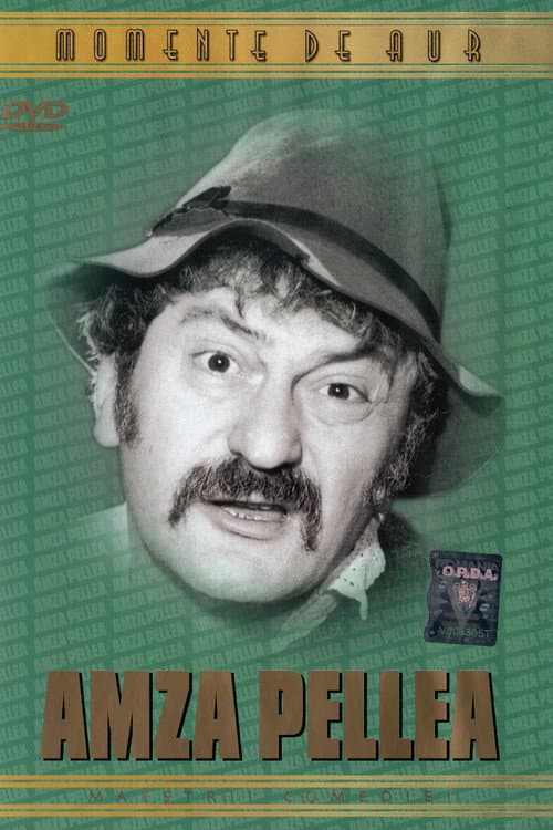 Momente de Aur: Amza Pellea (2004) poster