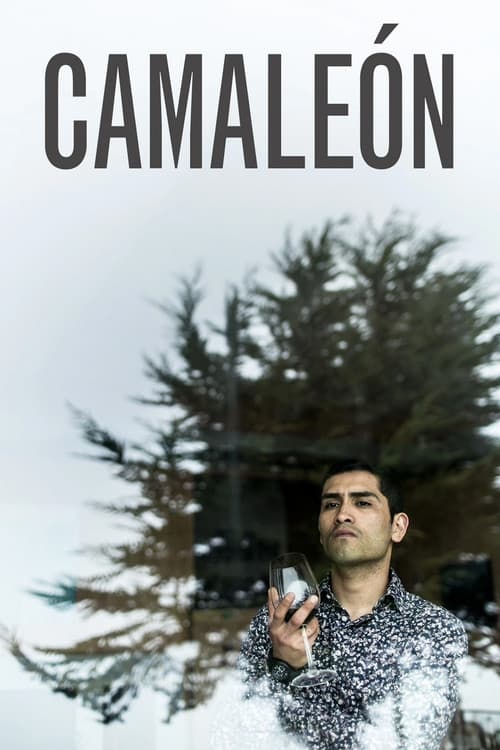 Camaleón (2016) poster
