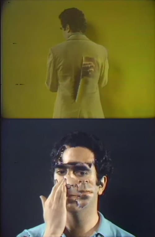Three Transitions (1973) poster
