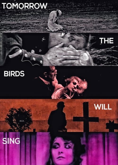 Tomorrow The Birds Will Sing (2025) poster