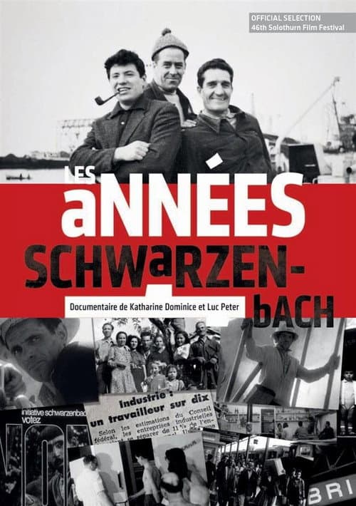 Les années Schwarzenbach (2010) poster