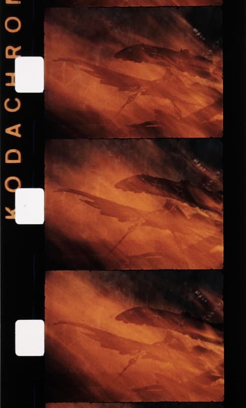Le feu (1992) poster