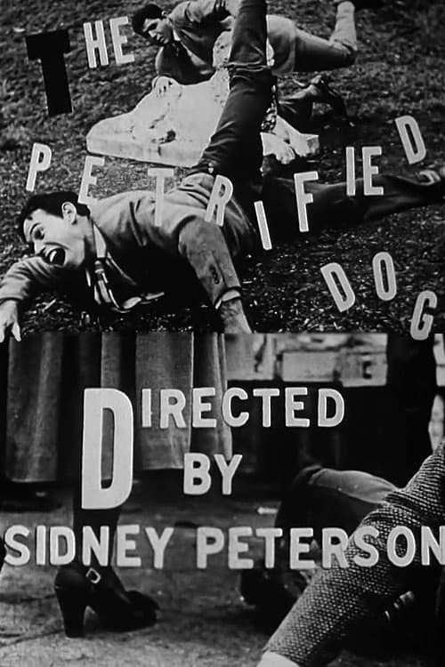 The Petrified Dog (1949) poster