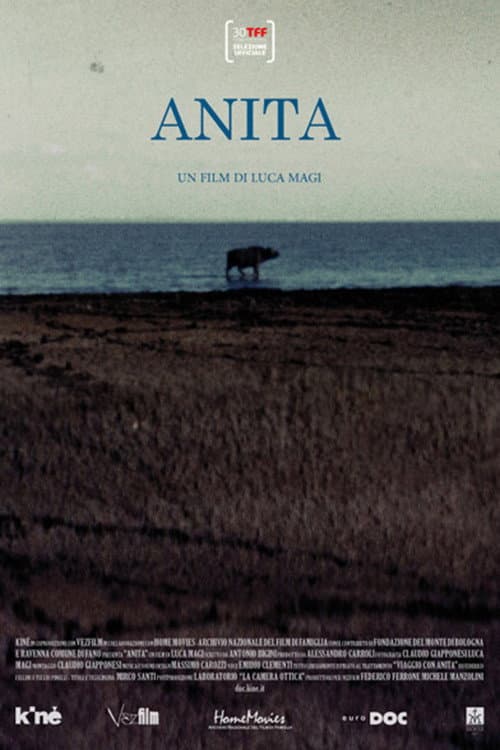Anita (2012) poster