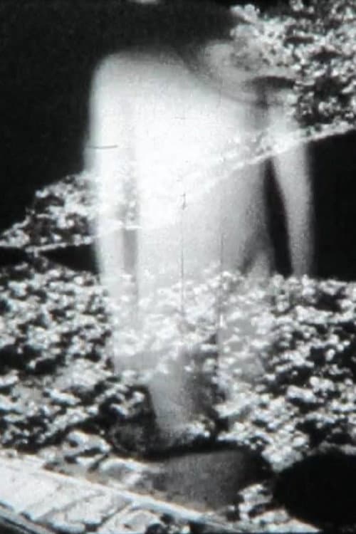 Conjeturas (2013) poster