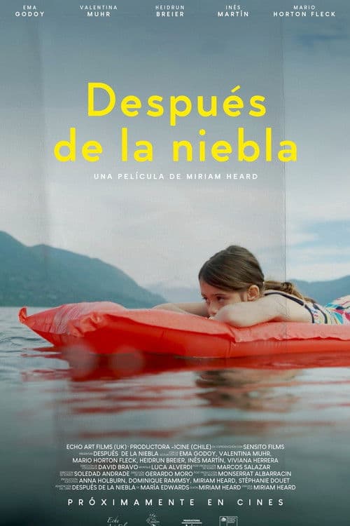 Después de la niebla (2026) poster