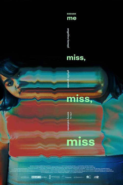 Excuse Me, Miss, Miss, Miss (2019) poster