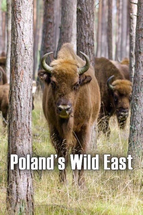 Poland's Wild East (2023) poster