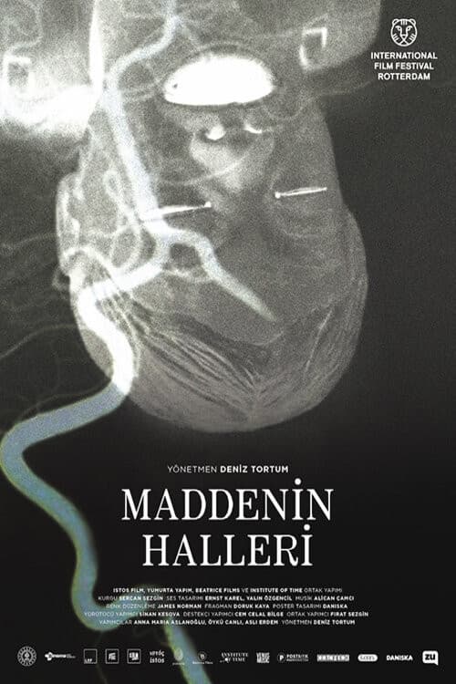 Maddenin Halleri (2020) poster
