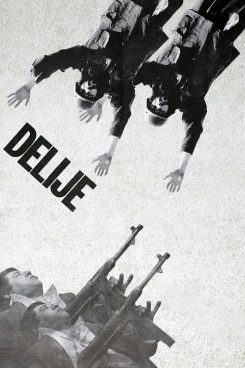 Делије (1968) poster