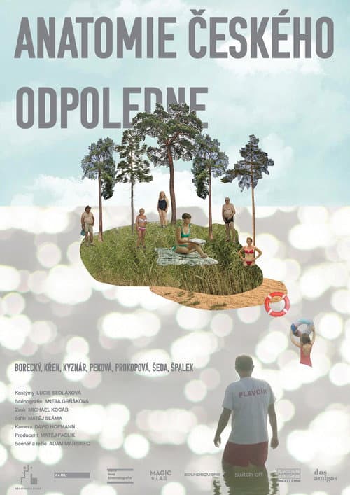 Anatomie českého odpoledne (2021) poster