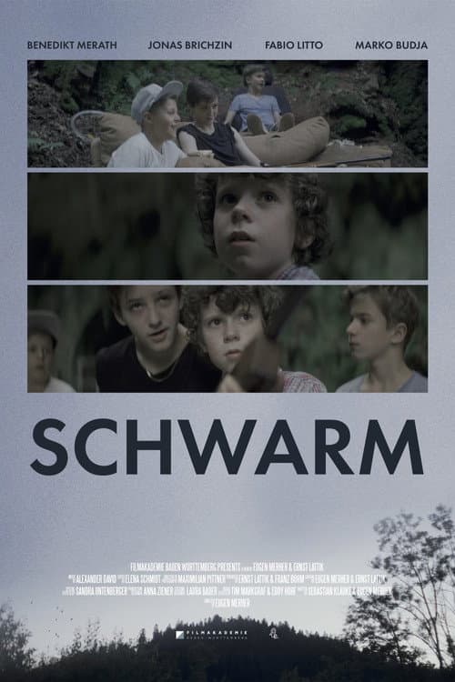 Schwarm (2016) poster