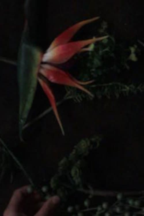 still life composition 'an accompaniment for life' (2015) poster