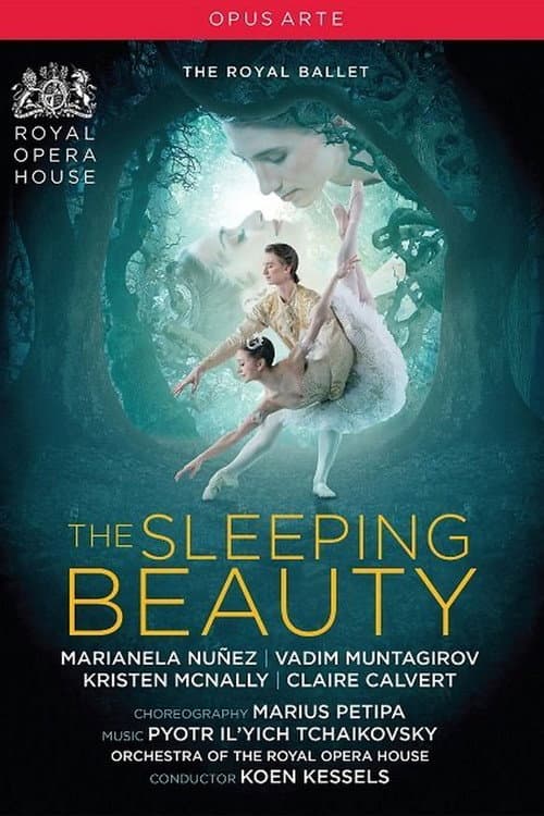 Royal Opera House: The Sleeping Beauty (2017) poster