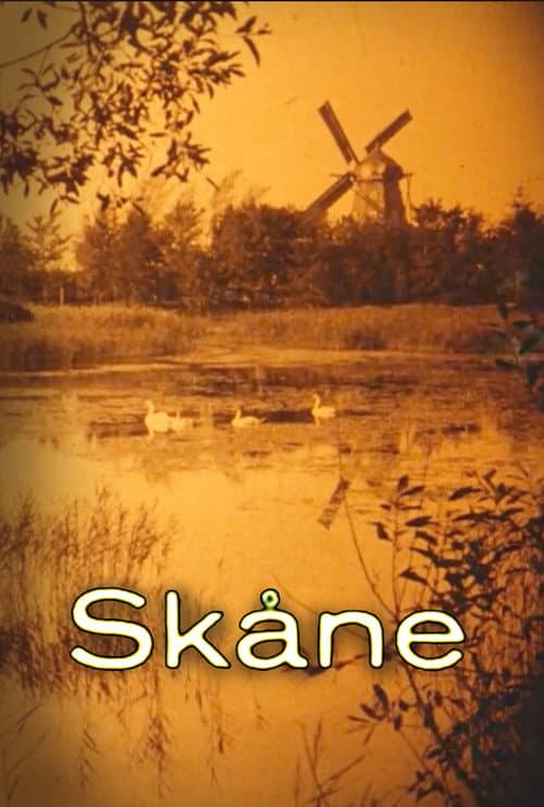 Skåne (1928) poster