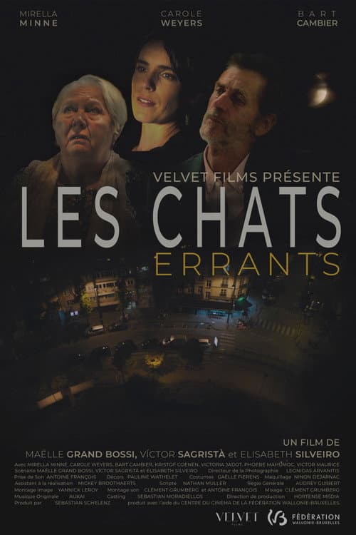 Les chats errants (2024) poster