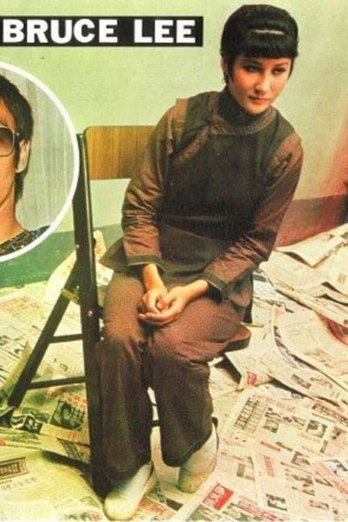 The Last Days of Bruce Lee (1973) poster