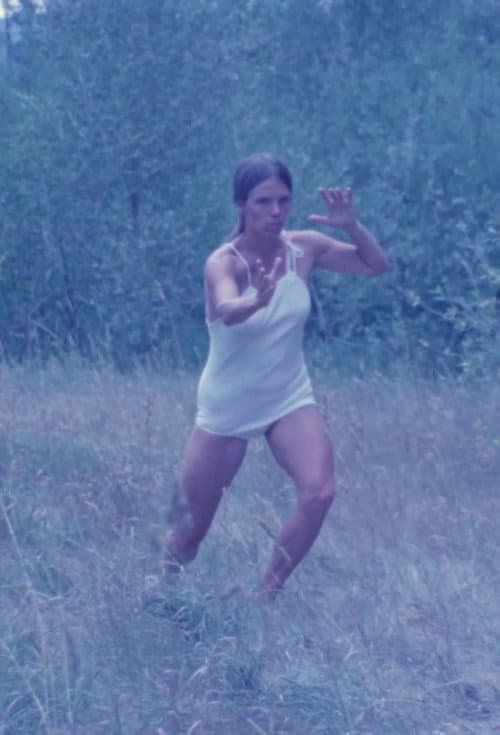 Tai Chi (1975) poster