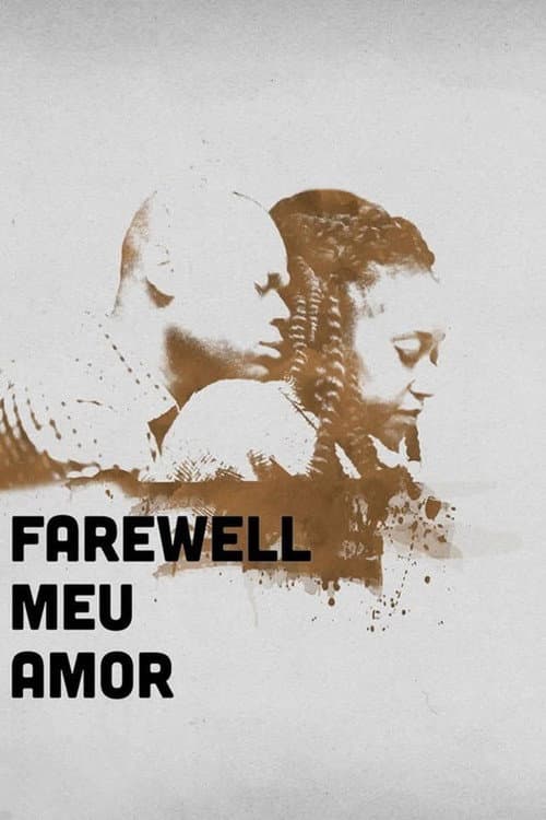 Farewell Meu Amor (2016) poster